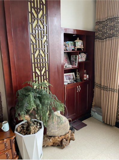 东南角：红木书柜与格栅屏风前，一盆松柏类绿植旁边立着一块浑圆的石头，石头放在木根底座上