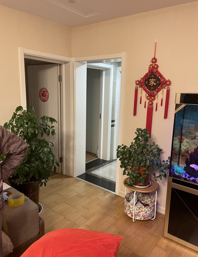 西北角并排开着两扇门，门两侧各有一盆低矮的绿植，墙上挂着写有家字的红色中国结，右侧露出鱼缸一角