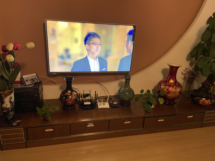 客厅南面的电视墙：长条电视柜上摆着黑色、绿色、红色几只圆肚瓷瓶，左侧有一瓶仿真郁金香，右侧是绿植