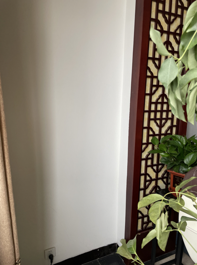 同一角落的另一侧：白墙与一扇红木镂空格栅屏风，几片绿叶从画面右侧伸进来
