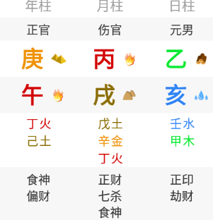 排盘截图：年柱庚午、月柱丙戌、日柱乙亥，日干乙木（元男），时柱未显示；午、戌藏干中有丁火，副星标有食神