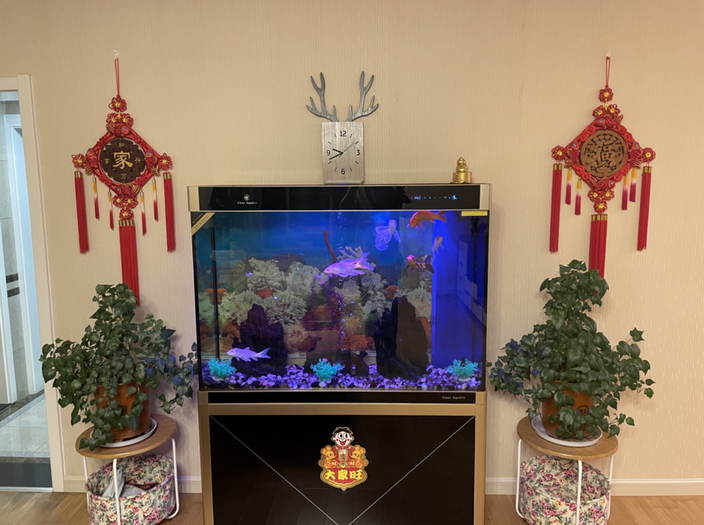北墙正中是一个亮着蓝光的大鱼缸，两侧墙上各挂一个红色中国结，下方各有一盆绿植