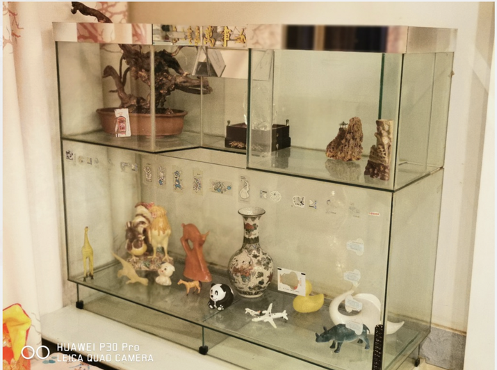 客厅西北角的双层玻璃展示柜：上层有一盆枯树根盆景和几块石头摆件，下层挤满了动物摆件、花瓶、熊猫、飞机模型等各种小玩意
