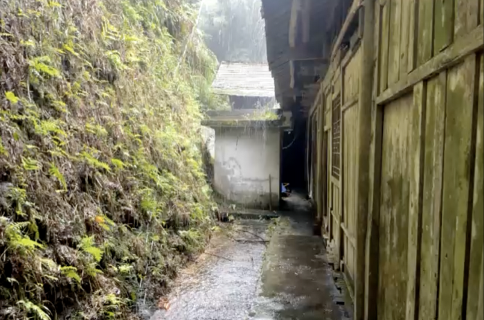 主屋背面另一角度：左侧是长满蕨类和苔藓的土坡，右侧是发霉的木板墙，中间湿漉漉的小路通向一间白墙黑瓦的小配房